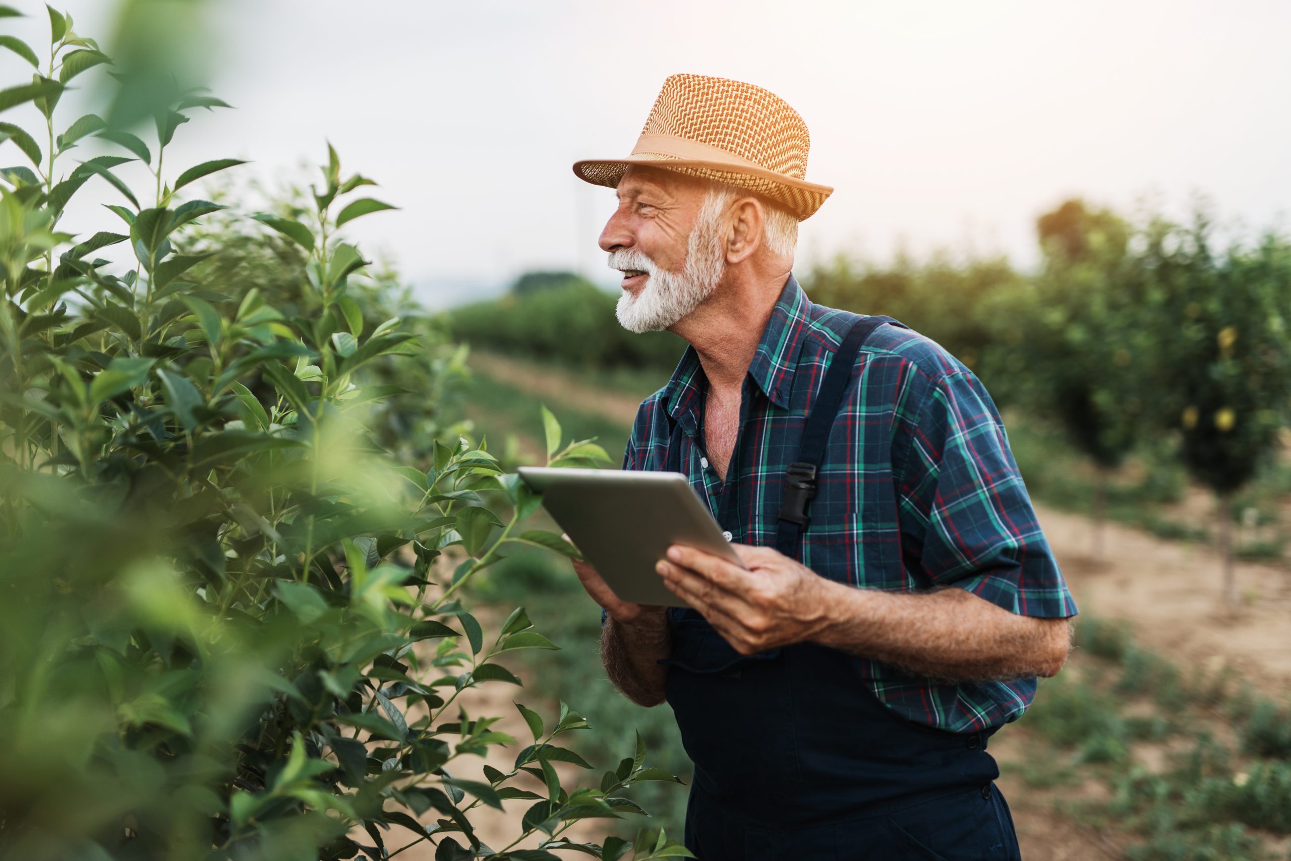 agrofactor new website