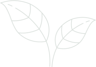 banner-leaf-2