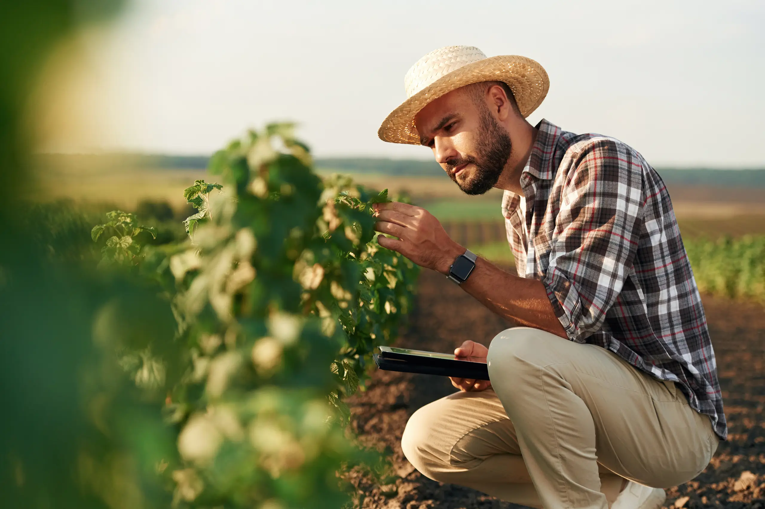 agrofactor new website